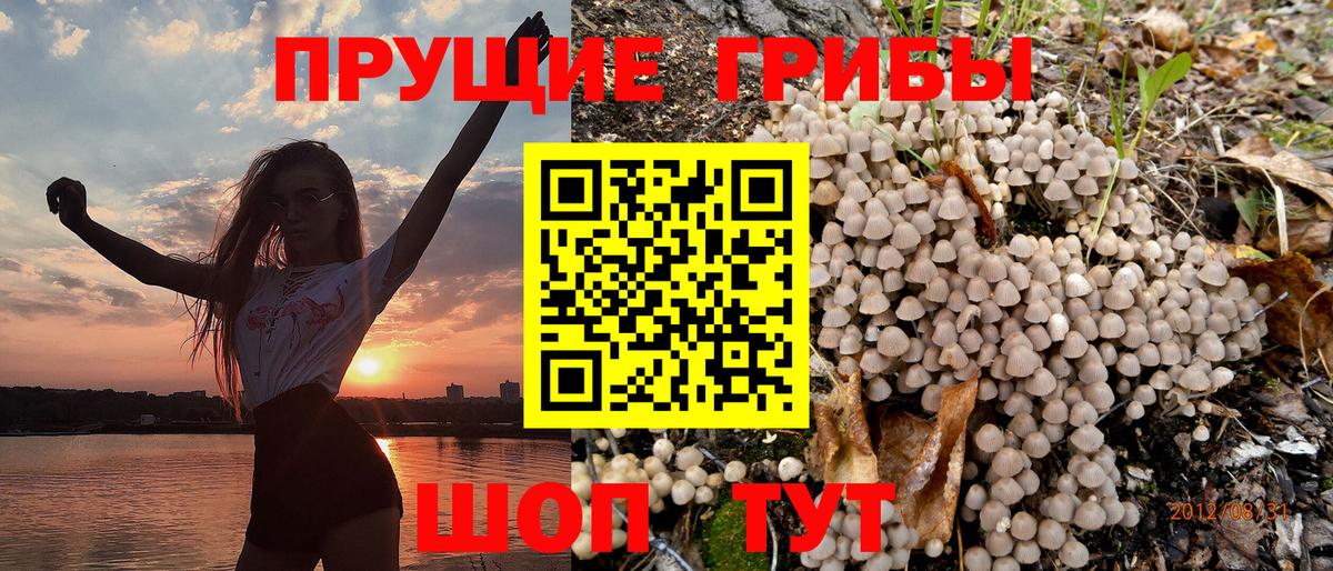 Псилоцибиновые грибы Cubensis Ялуторовск