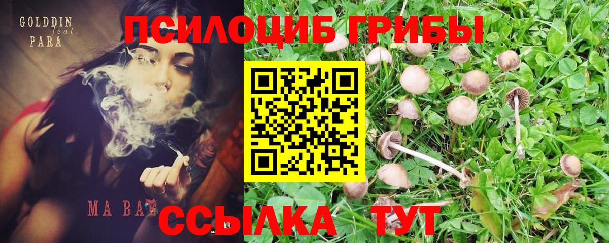 Галлюциногенные грибы GOLDEN TEACHER  Вход с VPN  наркотики  Ялуторовск 